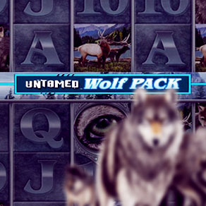 Слоты Untamed Wolf Pack – станьте ближе к дикой природе
